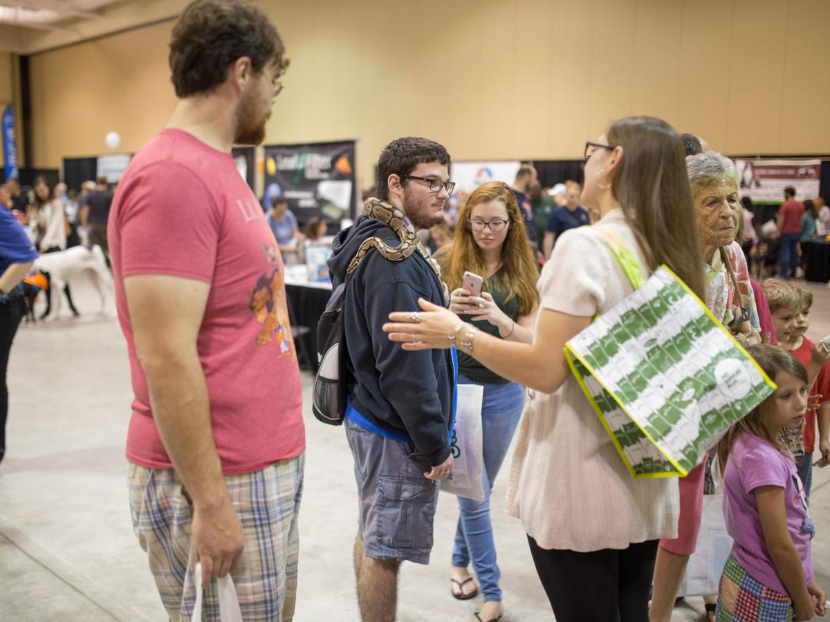 Pet Expo-October 14, 2017-708