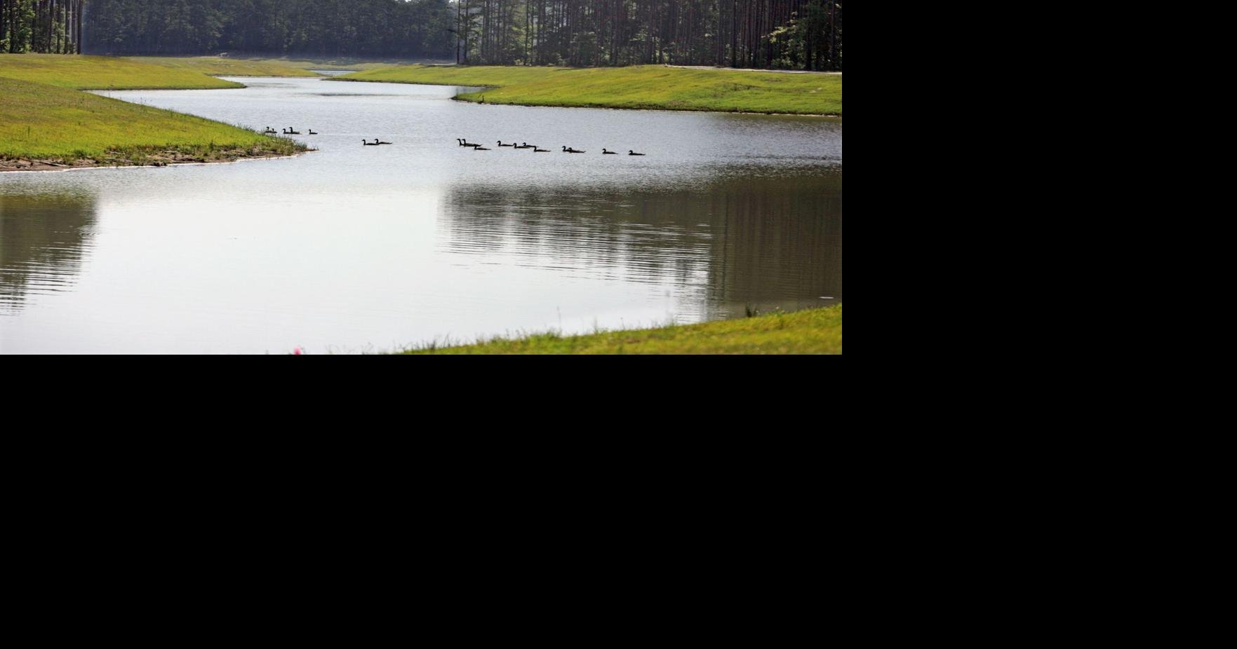 Closer look at Lakes of Cane Bay reveals woodlands, fields, shimmering