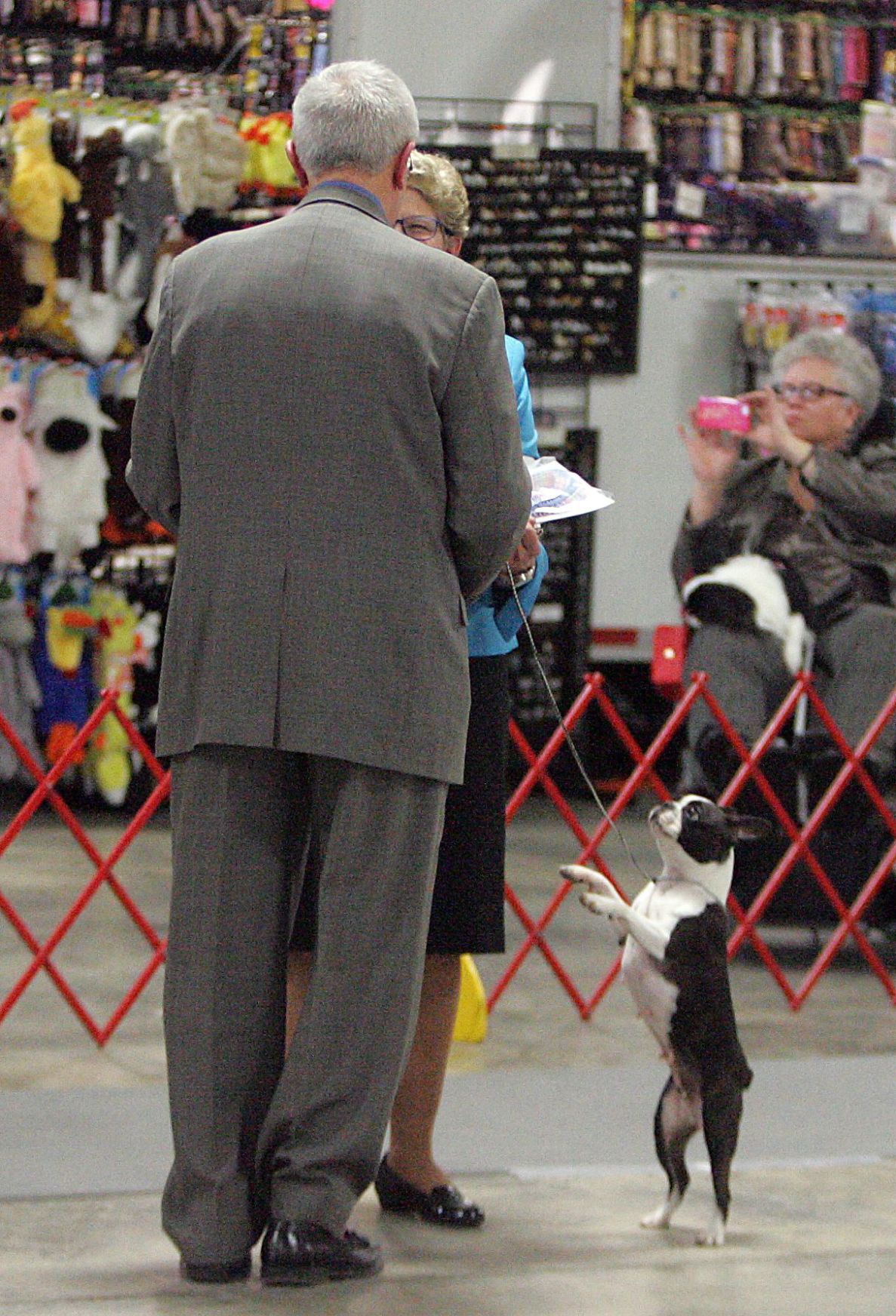 Charleston Kennel Club Dog Show Charleston Kennel Club Dog Show