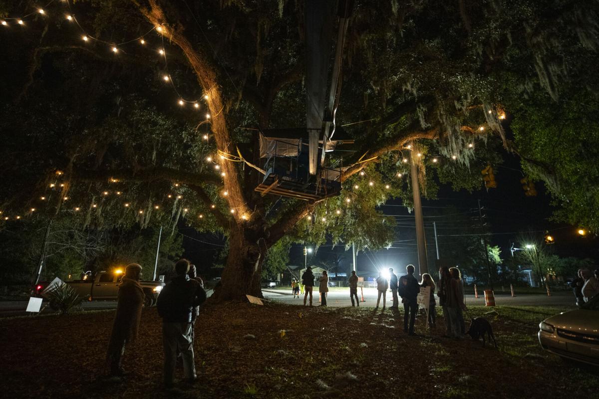 protestors under tree.jpg