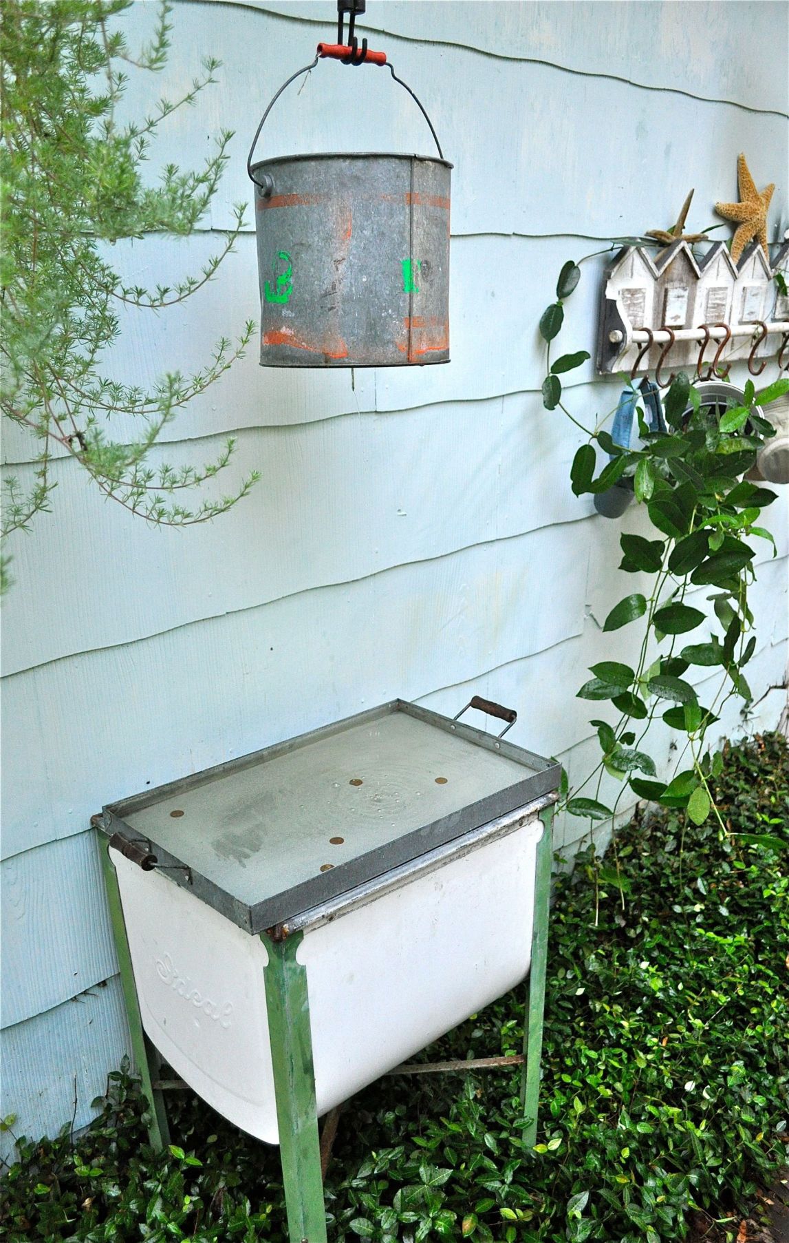 Water for the birds