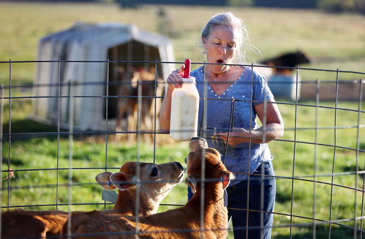 celestecalves raw milk