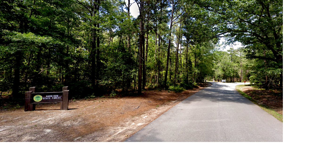 Harbison State Forest expansion could save land from development, add trailways. What’s the status?