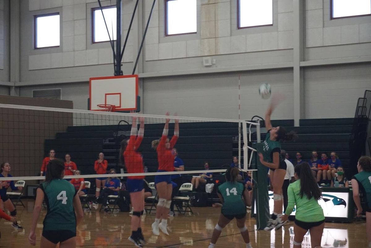 Academic Magnet volleyball