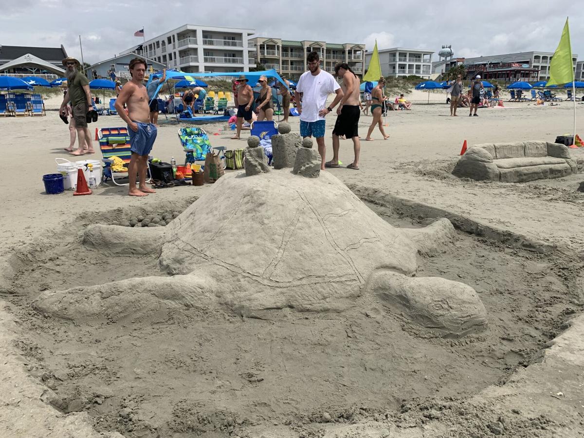 Turtle