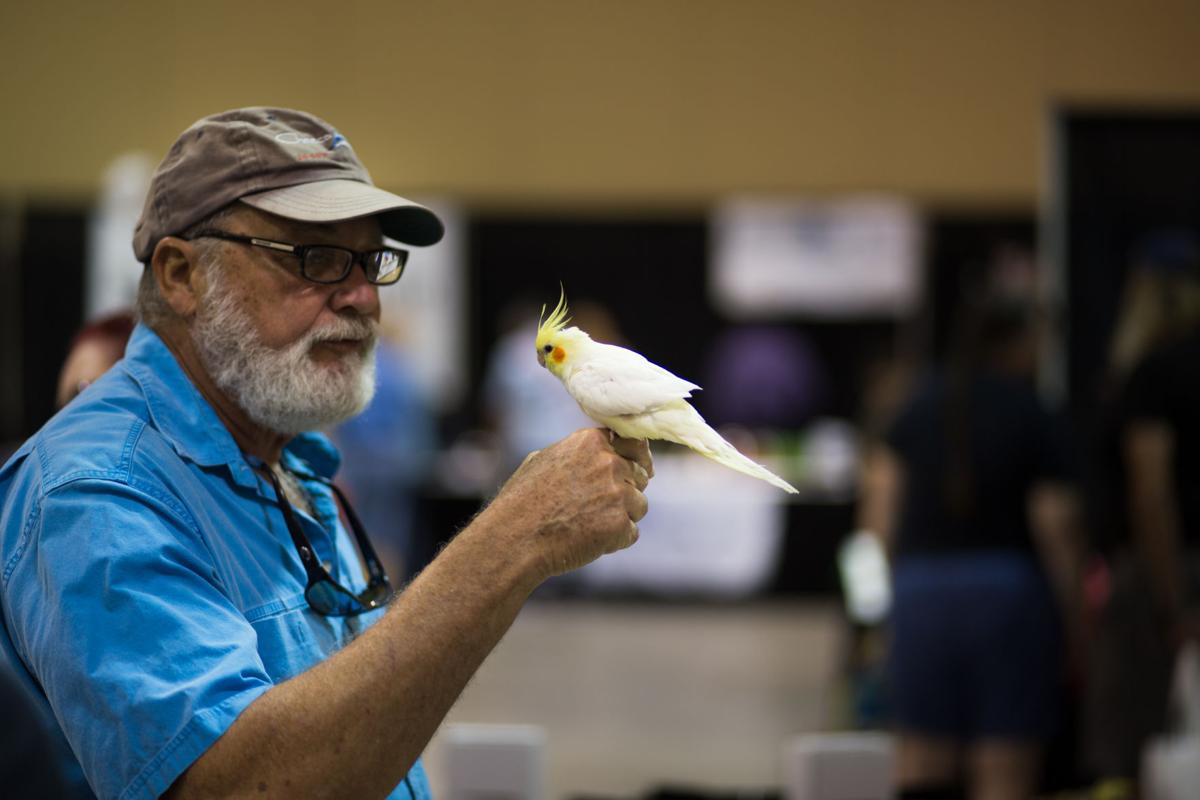 Pet Expo-October 14, 2017-120