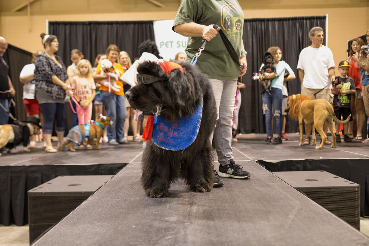 Pet Expo-October 14, 2017-640