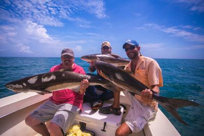 Chasing cobia in South Carolina: Where and how to catch the hard-fighting  fish