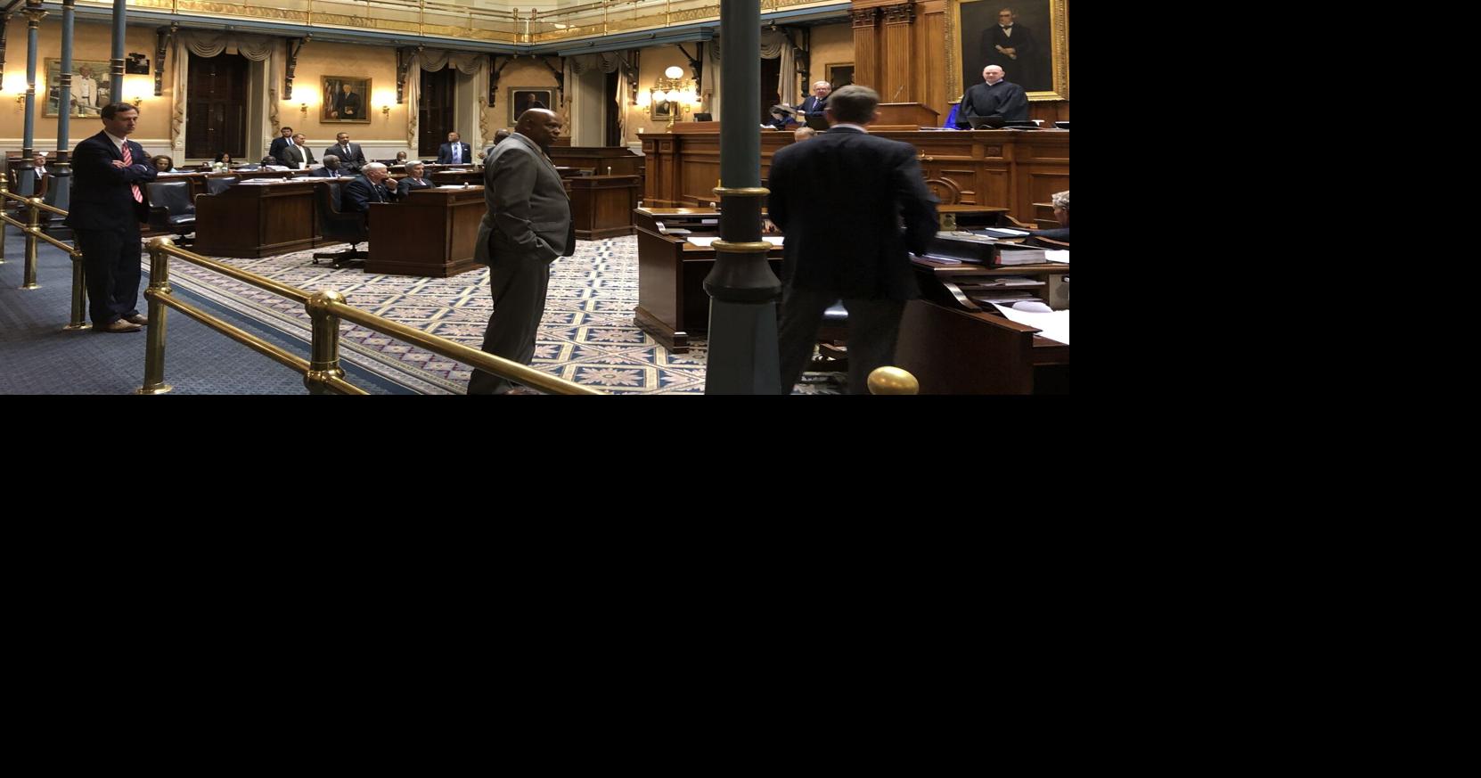 SC Democrats target Lowcountry state Senate seats, Republicans eye ...