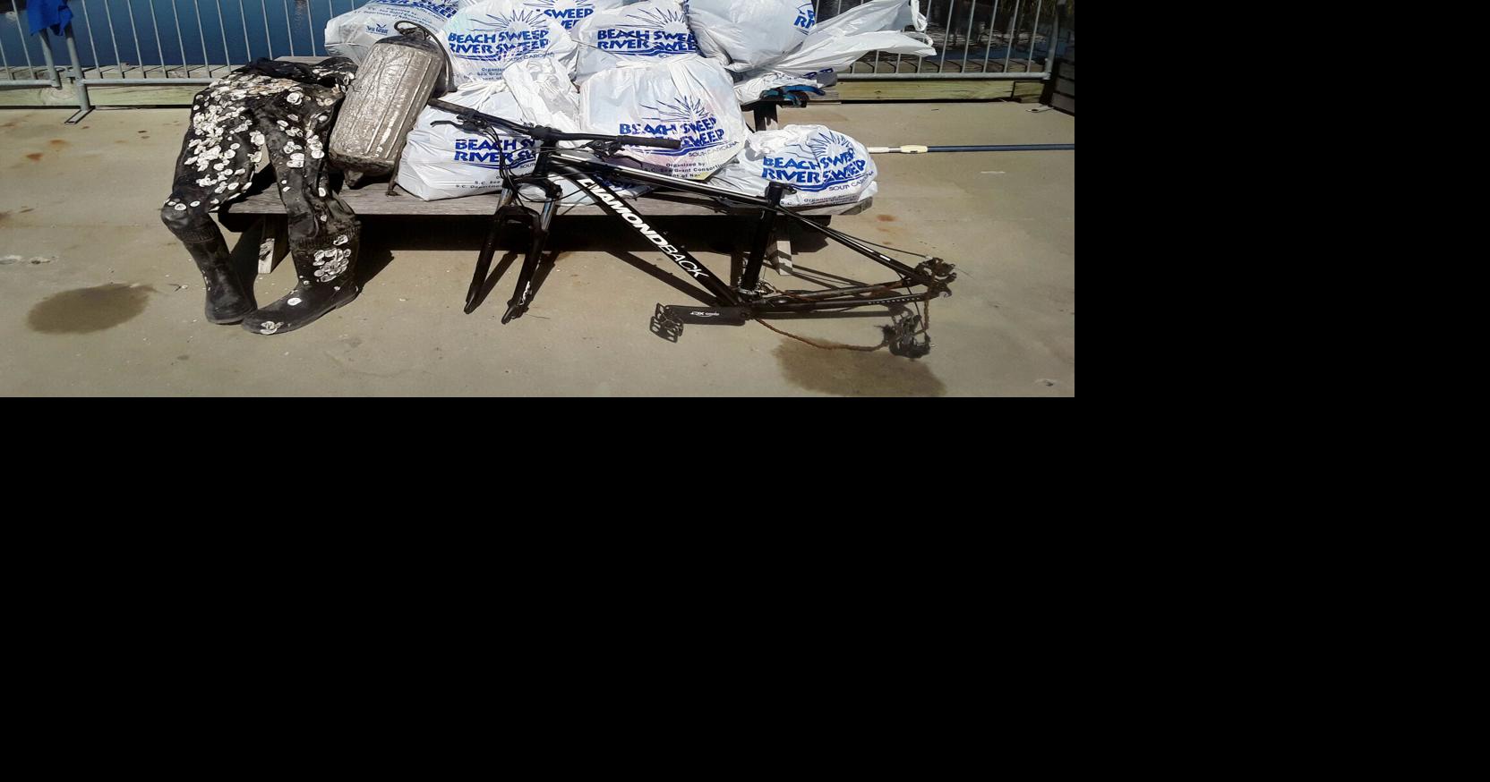 Volunteers to clean up nearly 20 Charleston-area sites Saturday during ...