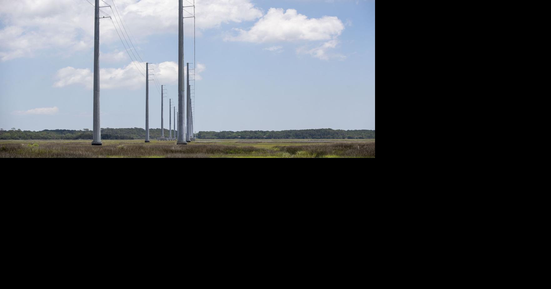 Charleston County sales tax, character counts, nursing homes Letters