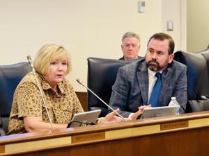 Rep. Shannon Erickson, R-Beaufort, and Rep. Neal Collins, R-Pickens weigh in on accountability measures for vouchers