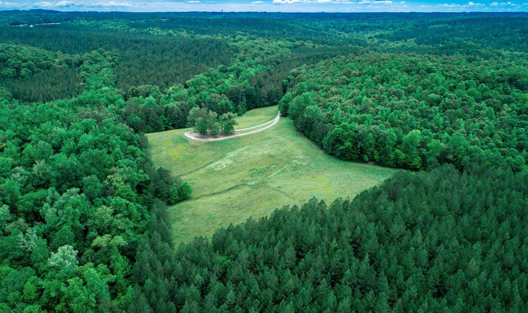 Historians to unveil South Carolina Liberty Trail of American