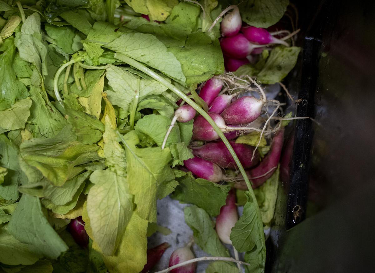 radishes.jpg