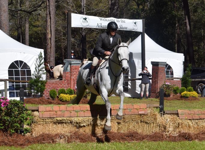 Aiken Horse Show opens in beautiful forest setting that spectators