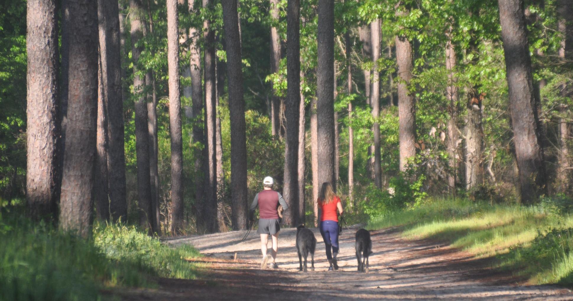 Aiken authors release books on Hitchcock Woods | Film, Books, Music - Vimarsana News
