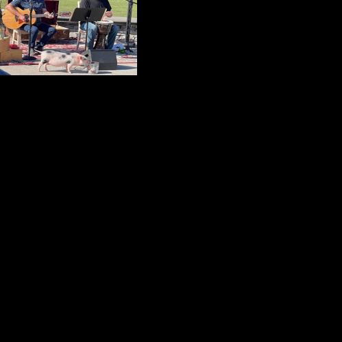 Concert Countdown: 10 Spartanburg live concerts and events in December