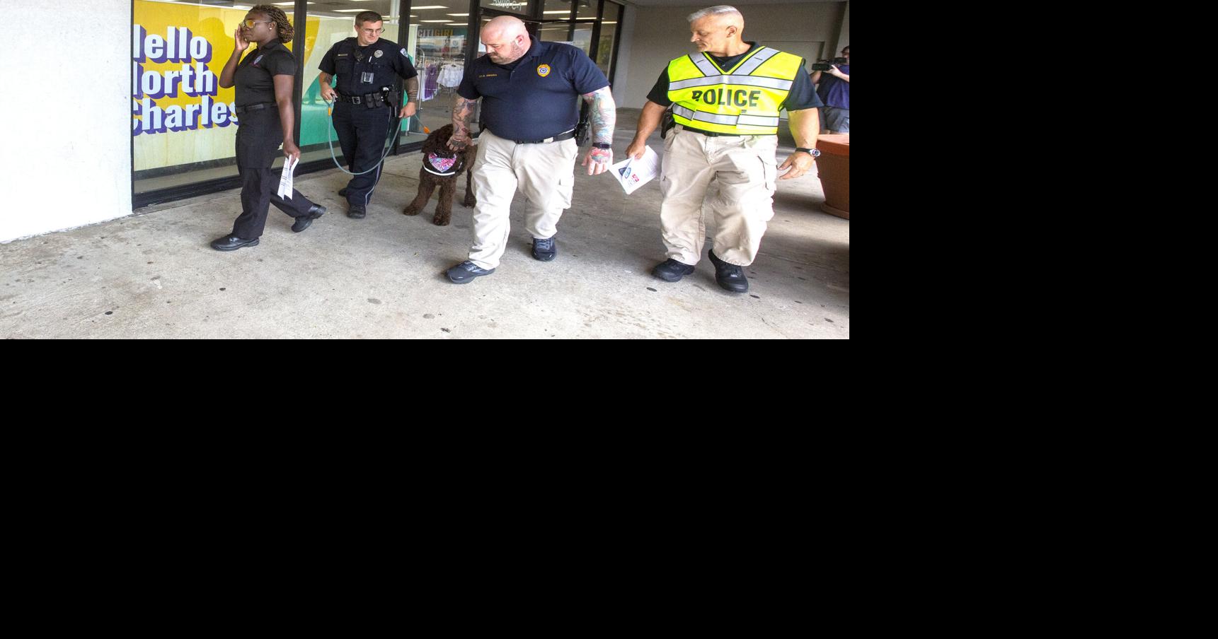 Man arrested in Charleston armed robbery tied to mattress store killing ...