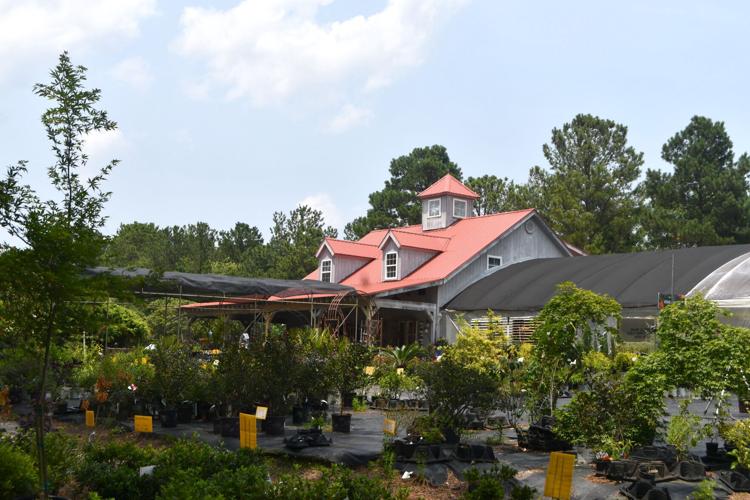 Longtime North Augusta greenhouse and plant shop, Nurseries Caroliniana, to  close its doors