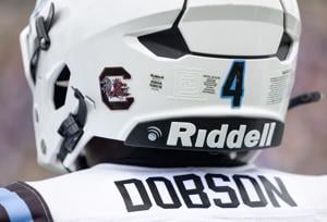 Josh Dobson 2