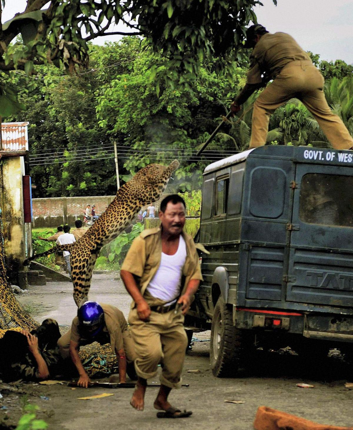 Leopard attacks villagers