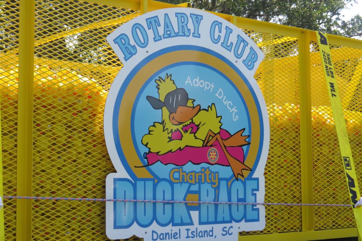 10th Annual Rotary Charity Duck Race