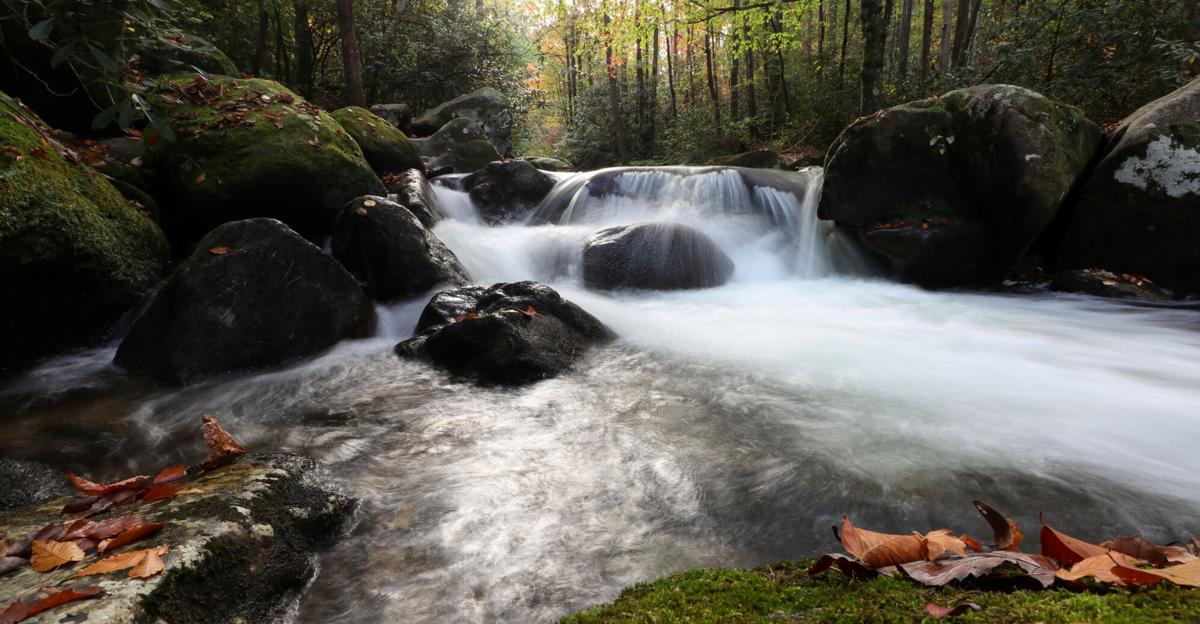 South Carolina state park revenue has grown 30% since July, benefiting from the Greenville Business ‘go outdoors’ board