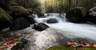 State Parks Near Greenville Sc - Sc Paris Mountain State Park 4035 Park Rx America / Maybe you would like to learn more about one of these?