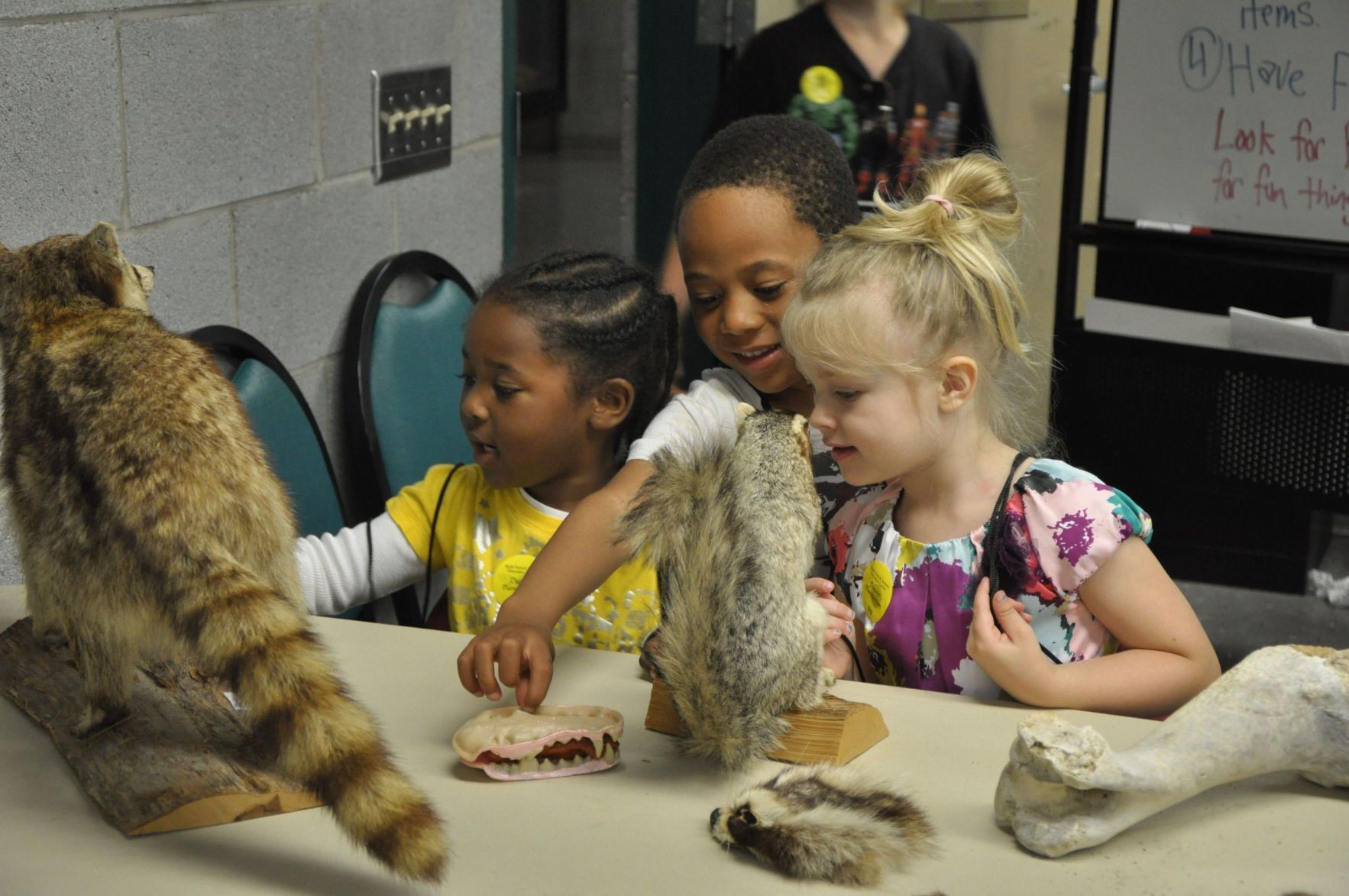 Ruth Patrick Science Education Center To Feature Family Earth And Sky ...