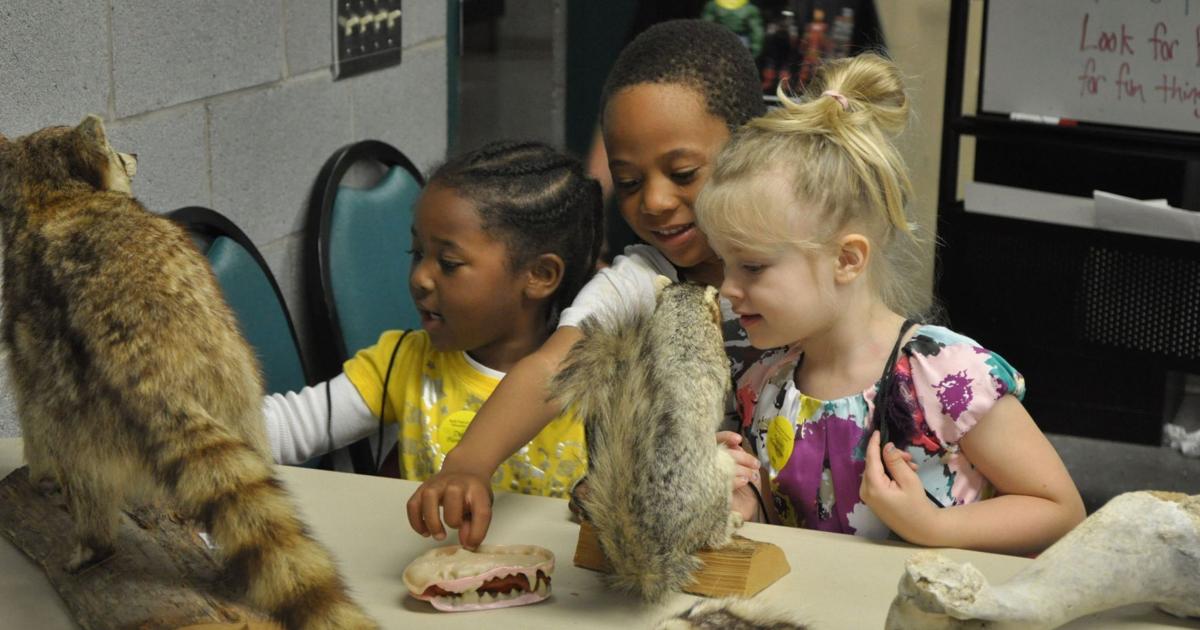 Ruth Patrick Science Education Center to feature Family Earth and Sky ...