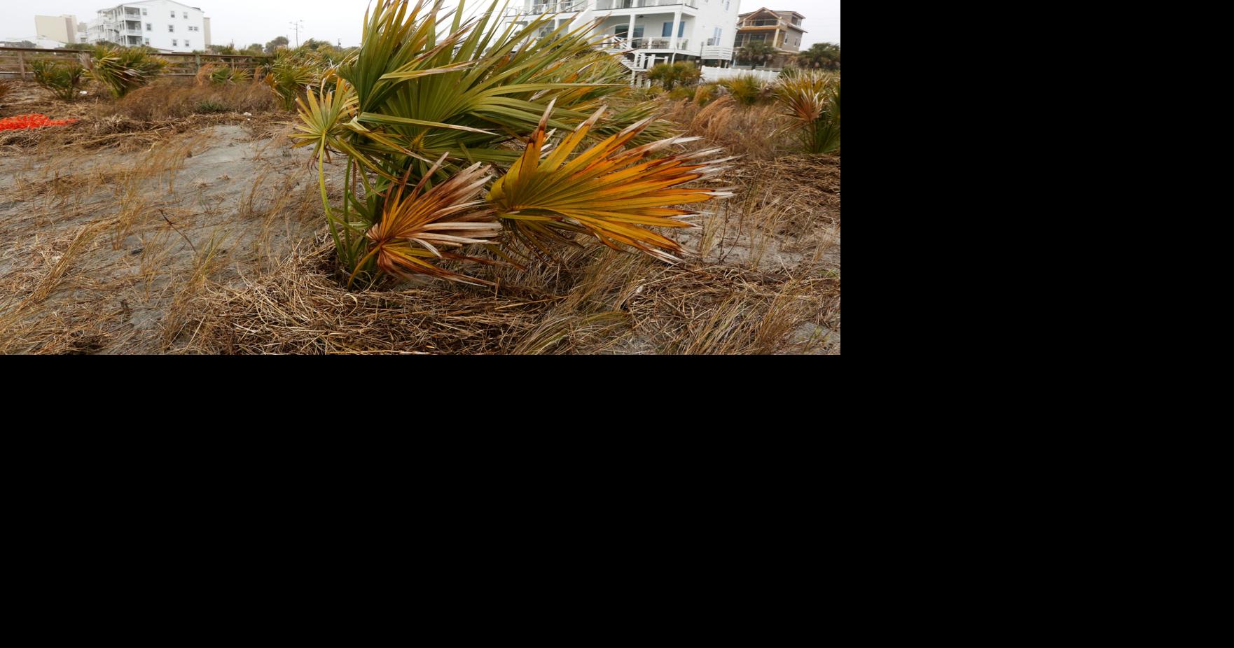 Depression off SC coast becomes Tropical Storm Chantal