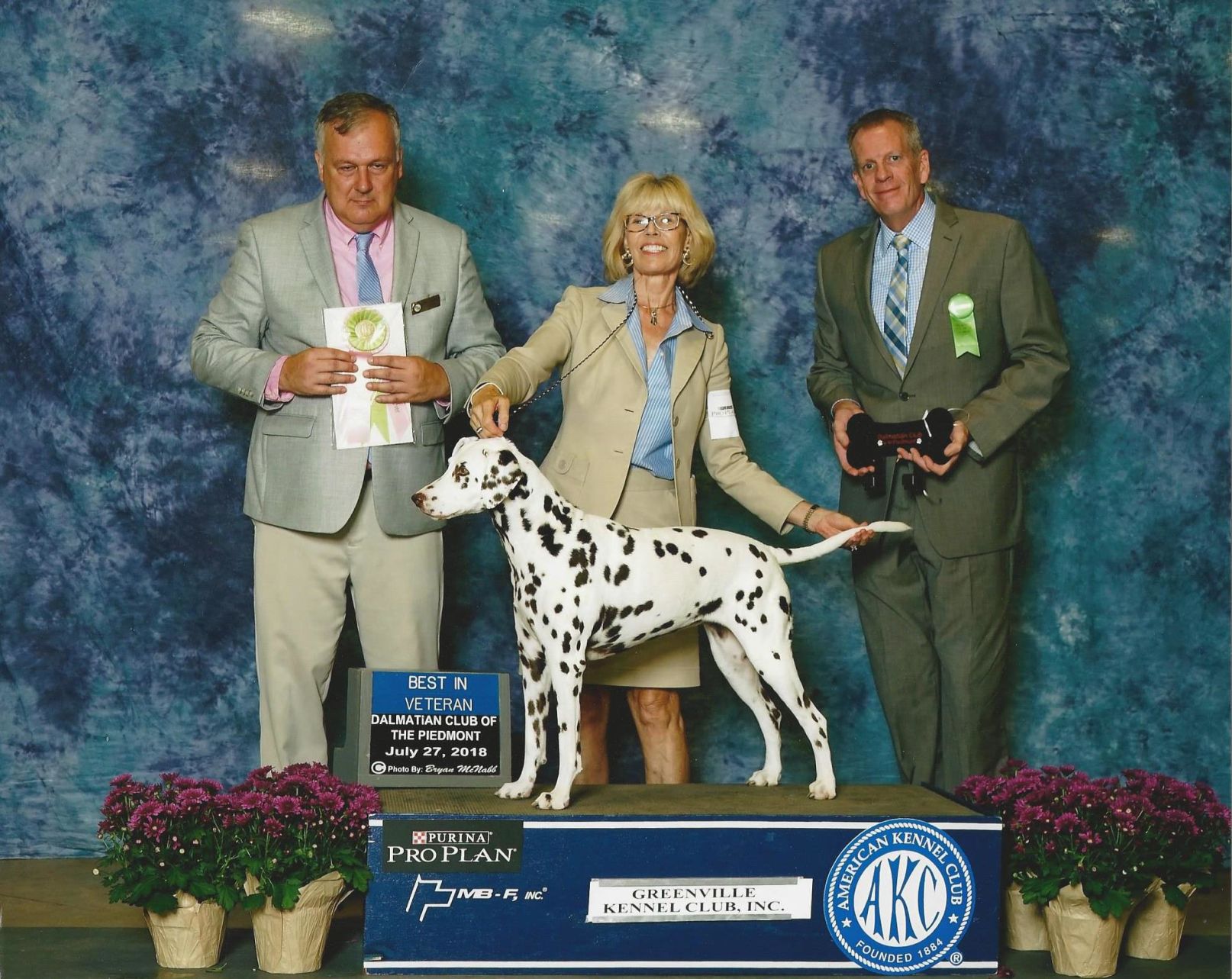 dalmatian kennel club