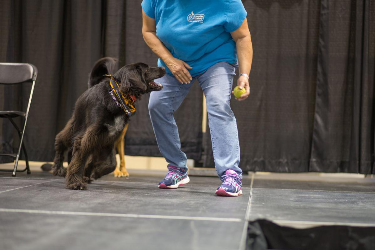 Pet Expo-October 14, 2017-310