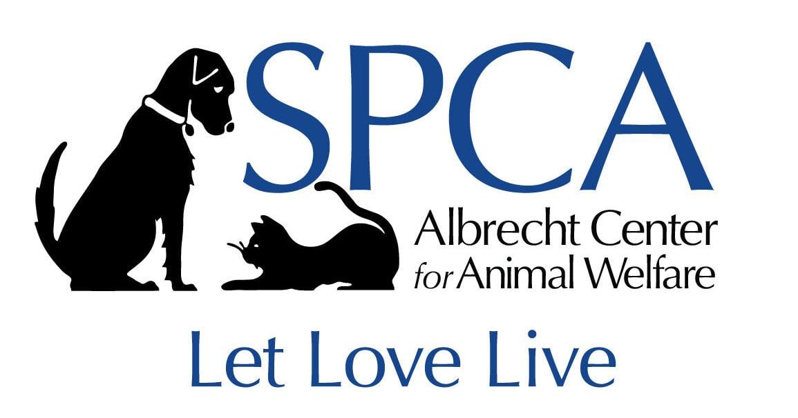 SPCA Albrecht Center offers tips for adopting a dog
