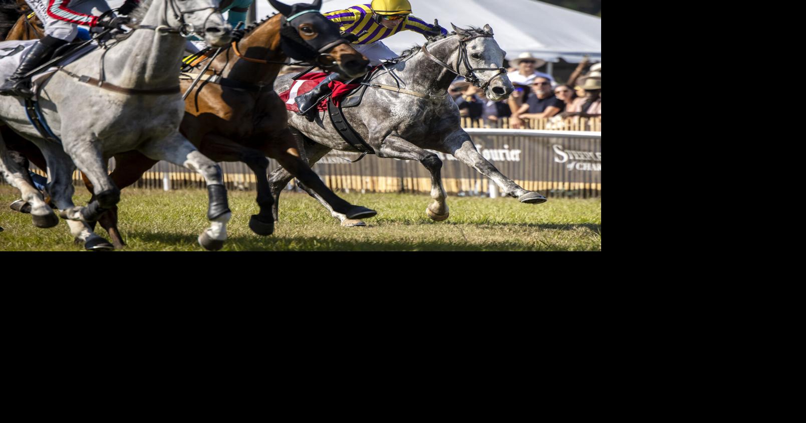 Risk Taking, Dalton win Alston Cup at Charleston horse race