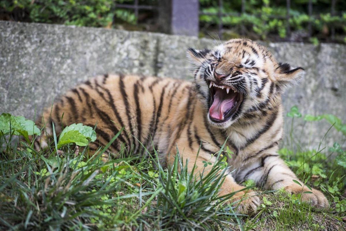 Editor's picks: Top photos from around the world