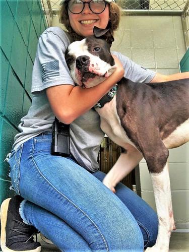FOTAS: Aiken shelter staff goes the extra mile for homeless pets | Features  