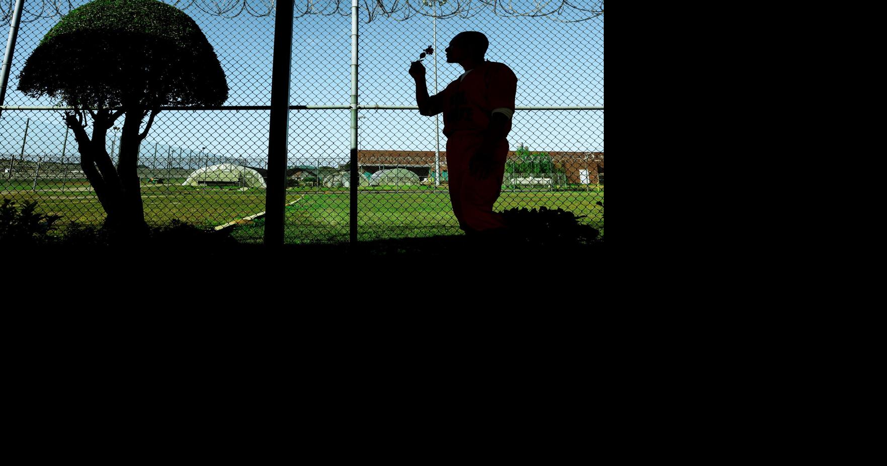 Inmate fills Broad River Correctional with flower gardens Commentary