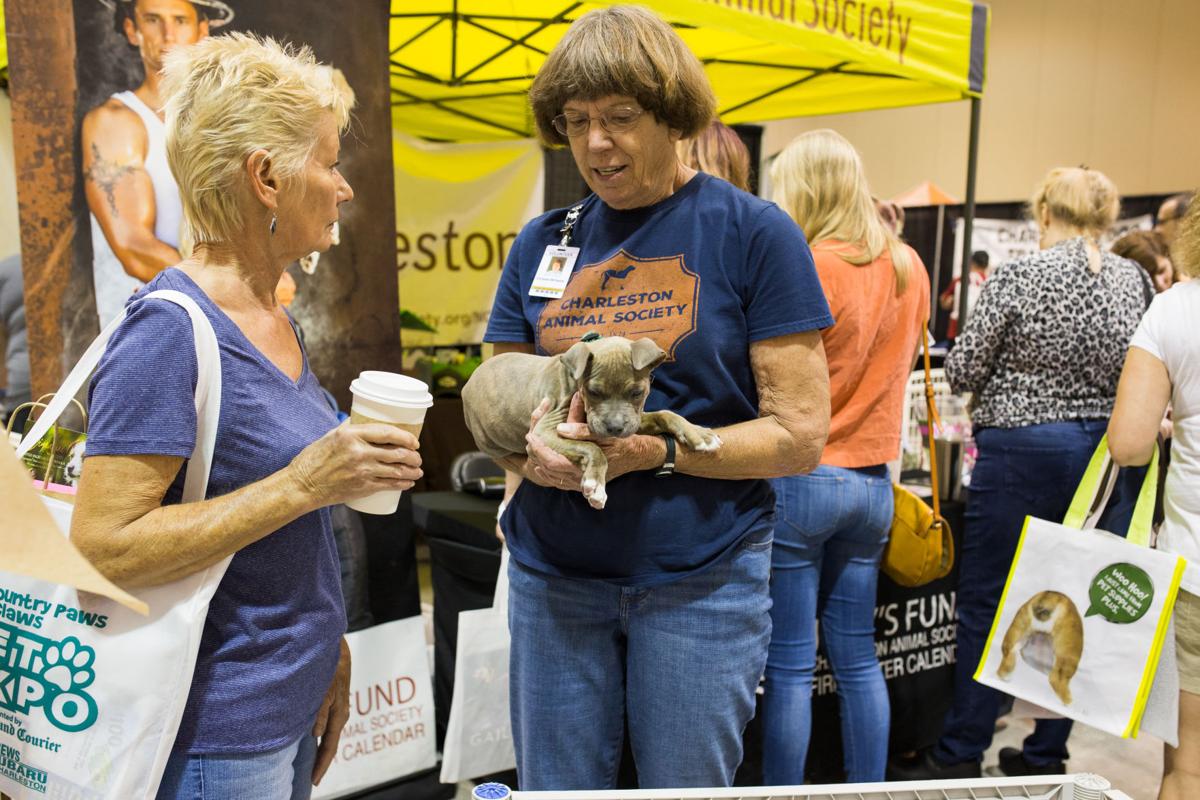 Pet Expo-October 14, 2017-229