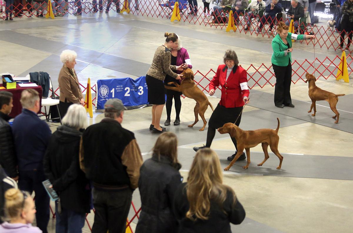 Charleston Kennel Club