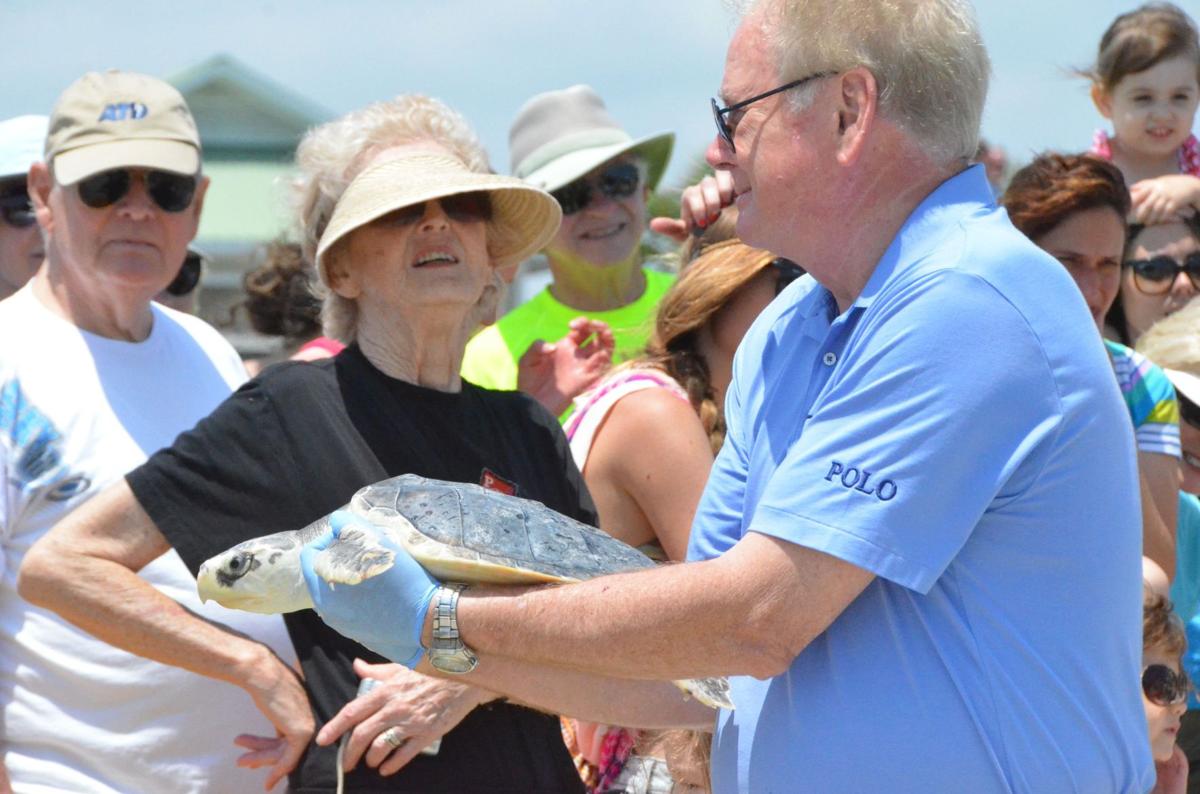 SC Aquarium releases six rehabbed sea turtles