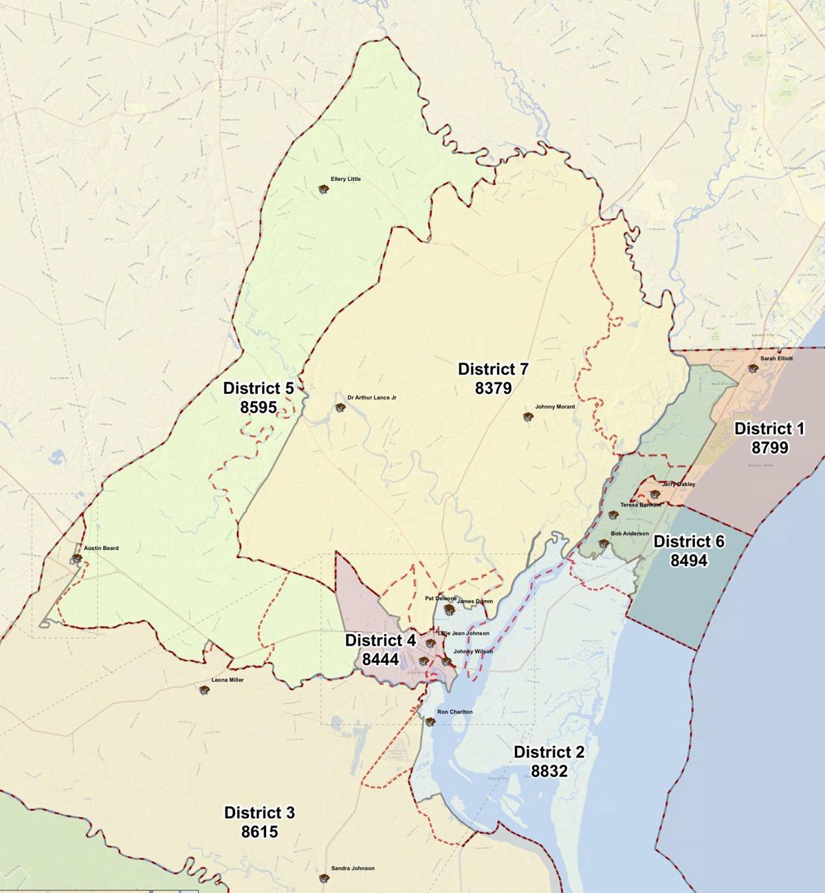 Groups plan to address County Council over councilman's