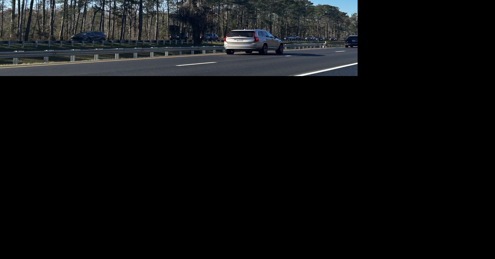 This tree in the middle of I-26 between Charleston and Columbia has over 100 reviews on Google