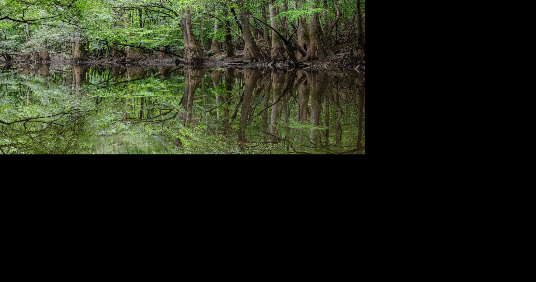 Congaree Riverkeeper sues plant after allegedly finding 10K+ plastic pellets, some at national park
