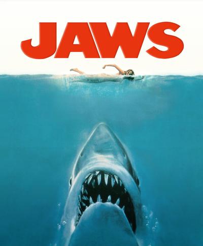 Remember When Every Week Was Shark Week Outdoors Postandcourier Com