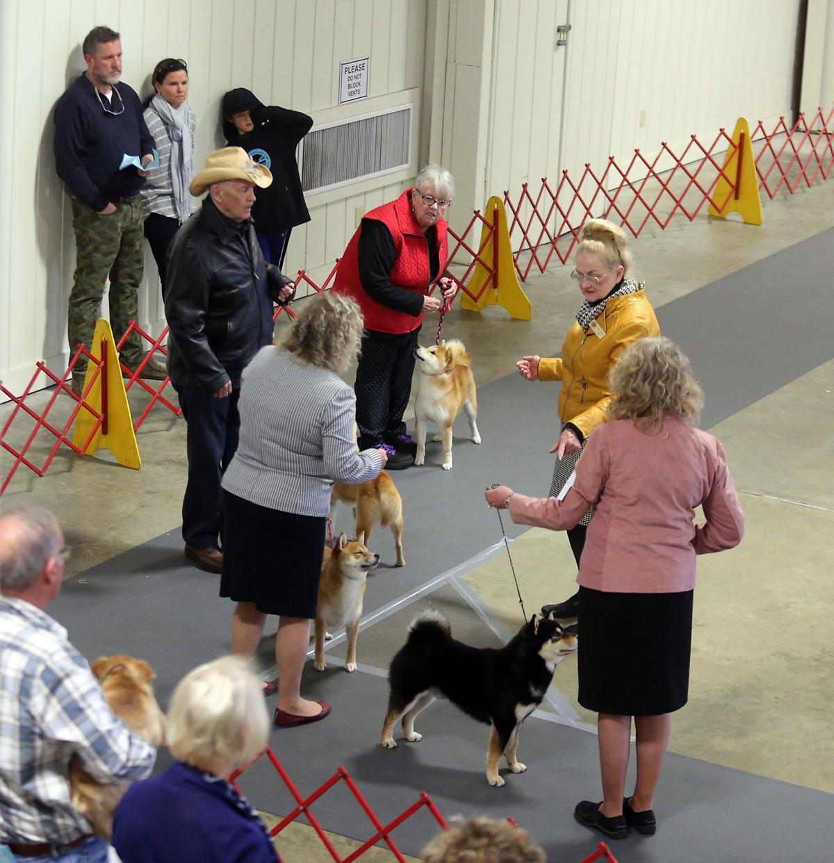 Charleston Kennel Club