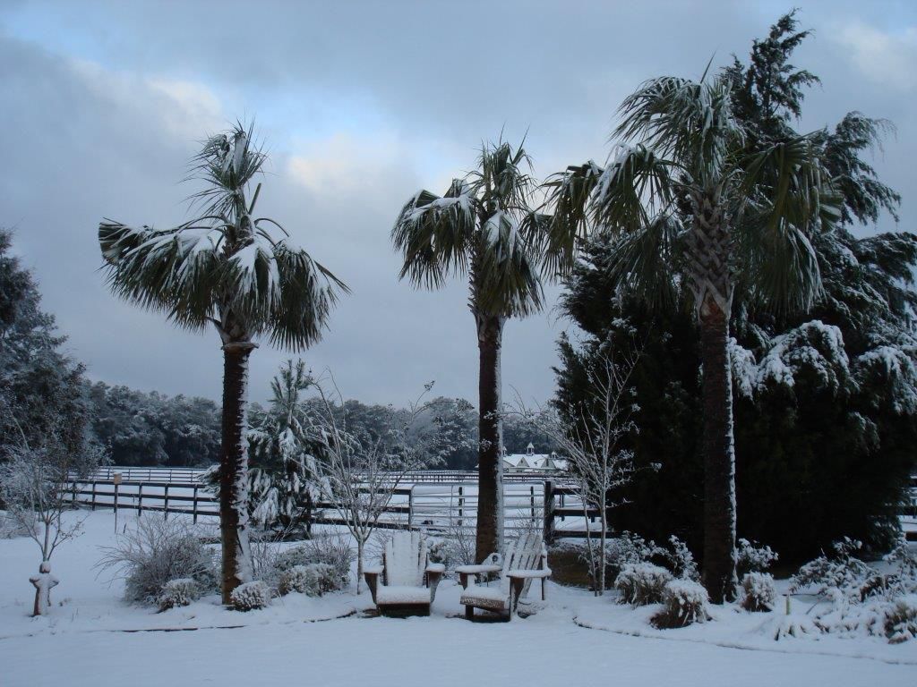 Patty-Eckels White Weather.jpg