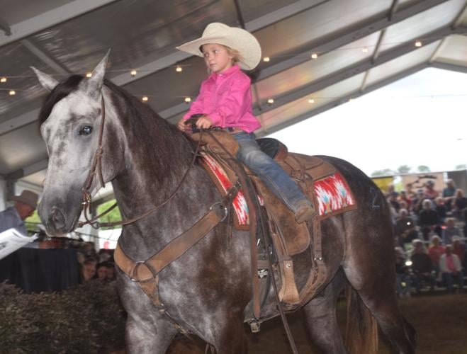 Best of the West horse auction draws national bidders News