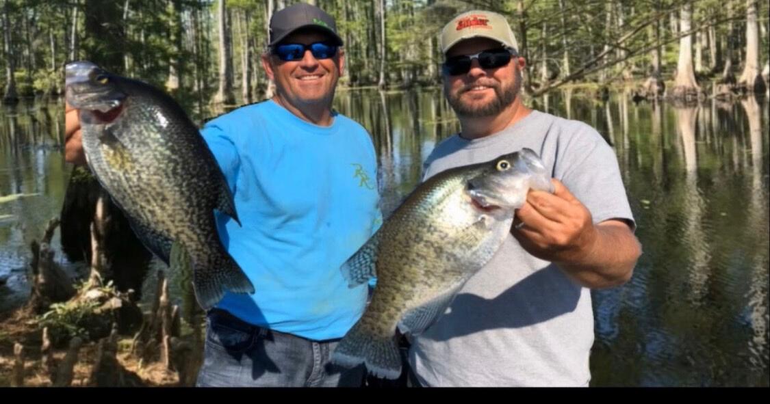 Crappie, bream hot ticket for Santee Cooper lakes anglers