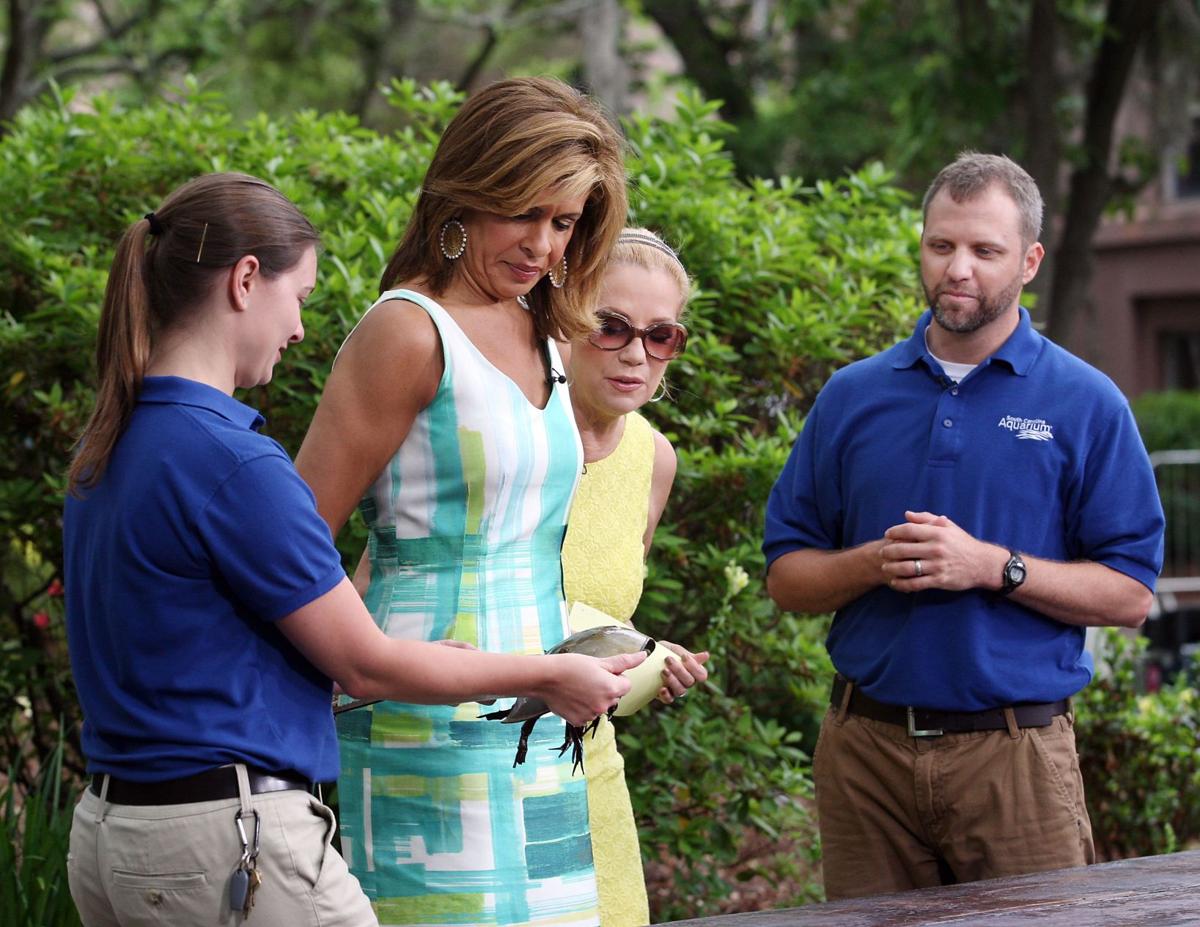 Today with Kathie Lee and Hoda